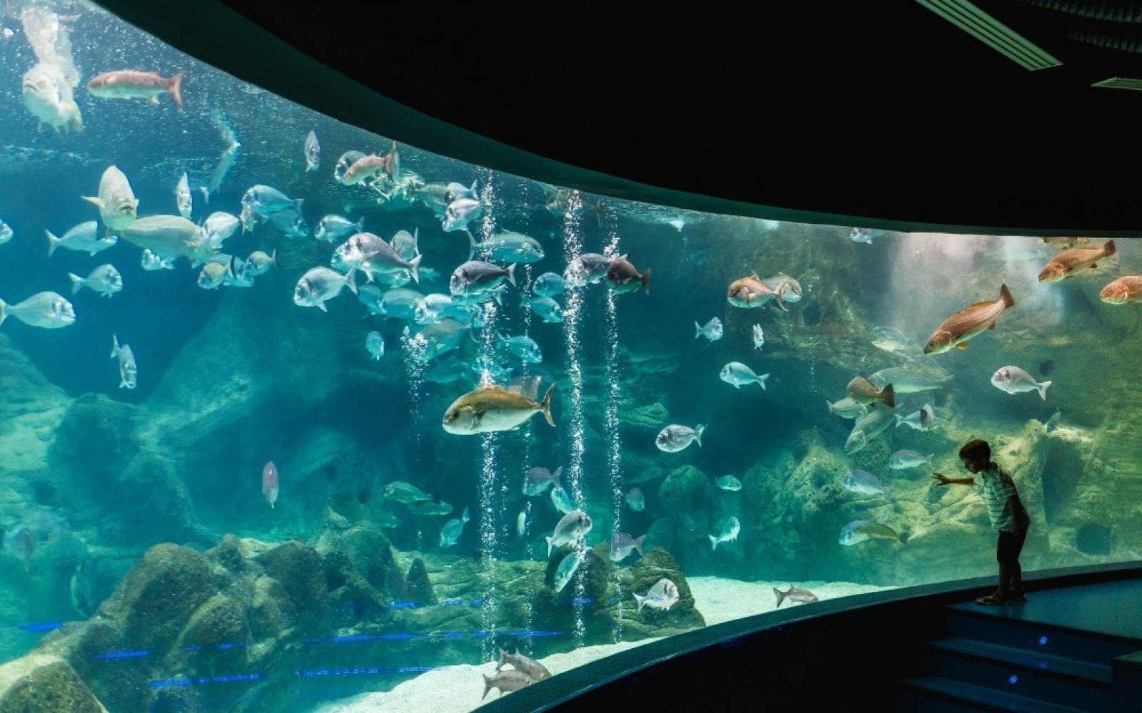 Cretan Aquarium